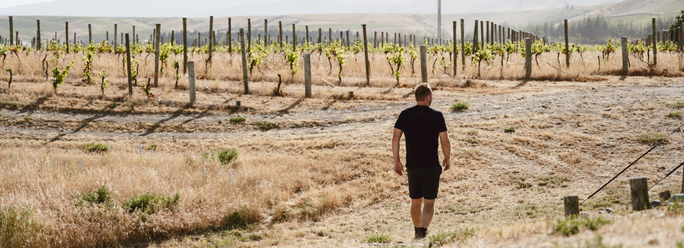 A man walking at Nanny Goat Vineyard 